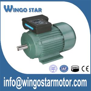 Modur Cyfnod Sengl